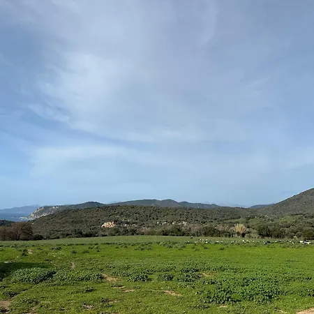 T3 Neuf Avec Terrasse Panoramique De 35m2 - Vue Exceptionnelle Villanova