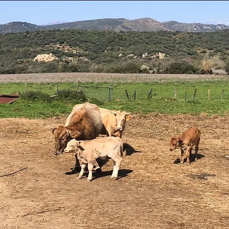 T3 Neuf Avec Terrasse Panoramique De 35m2 - Vue Exceptionnelle