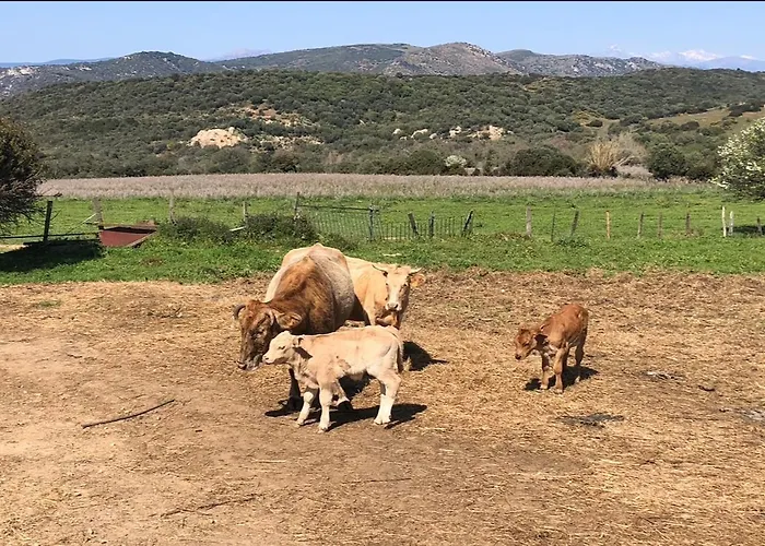 T3 Neuf Avec Terrasse Panoramique De 35m2 - Vue Exceptionnelle