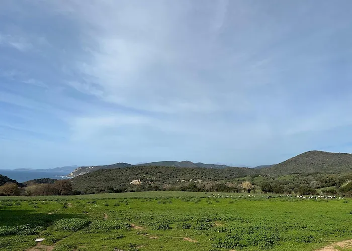 T3 Neuf Avec Terrasse Panoramique De 35m2 - Vue Exceptionnelle Villanova