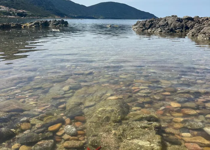 T3 Neuf Avec Terrasse Panoramique De 35m2 - Vue Exceptionnelle Daire *